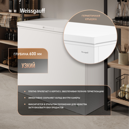 WFH-250 Inverter (127443)