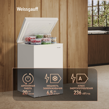 WFH-150 Inverter (111140)