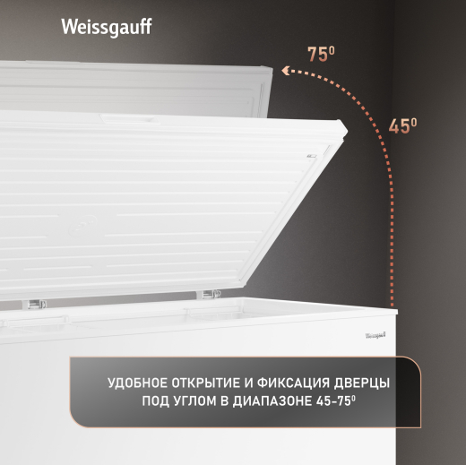 WFH-360 Inverter (126271)