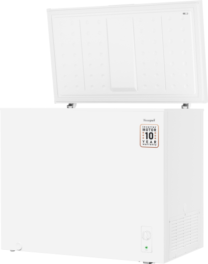 WFH-250 Inverter (127443)