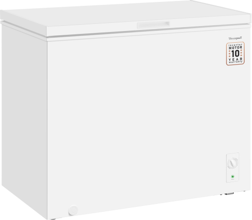 WFH-250 Inverter (127443)