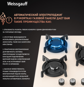   Weissgauff HGG 451 BERV