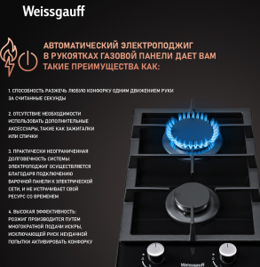    Weissgauff HGG 320 BGH