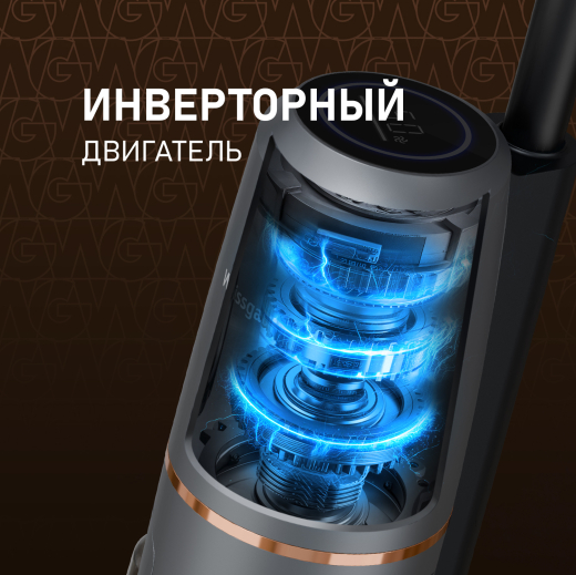 ������������ ������������ ������� ����� � ������� ������ (2 � 1) Weissgauff V13 BLDC 200 Graphite AquaPro