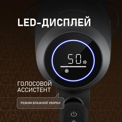������������ ������������ ������� ����� � ������� ������ (2 � 1) Weissgauff V13 BLDC 200 Graphite AquaPro