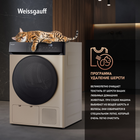   Weissgauff WD 6010 Heat Pump Champagne