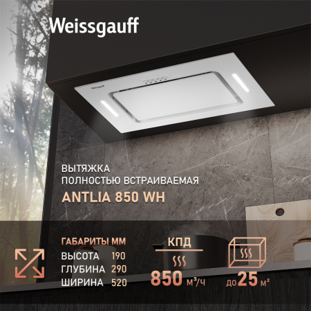    Weissgauff Antlia 850 WH