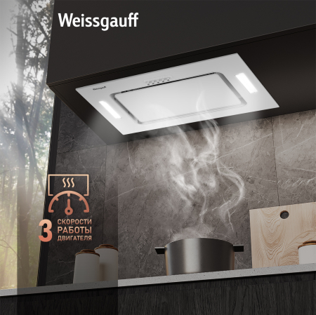    Weissgauff Antlia 850 WH