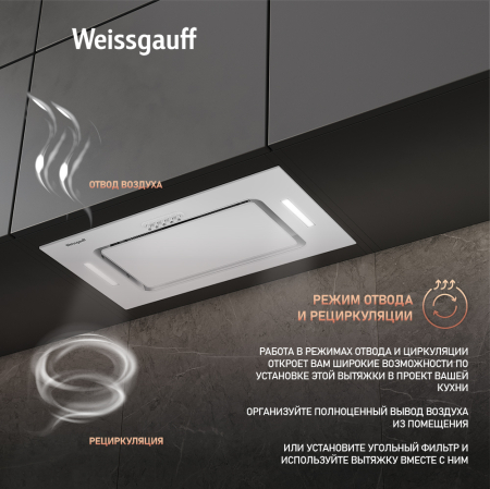    Weissgauff Antlia 850 WH