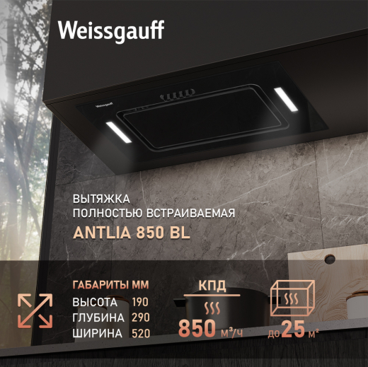 �������� ������������ ������� Weissgauff Antlia 850 BL