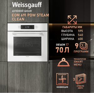   Weissgauff EOM 691 PDW Steam Clean