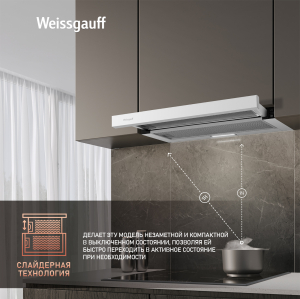     Weissgauff TEL 06 1M WE