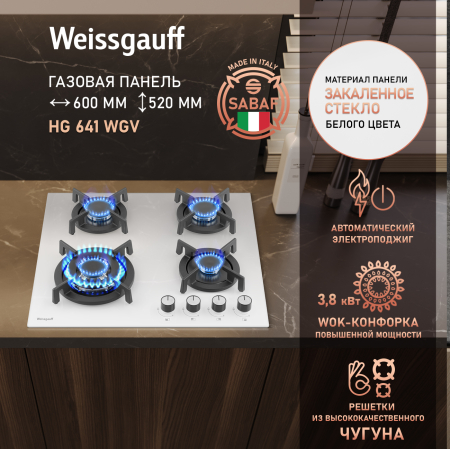   Weissgauff HG 641 WGV