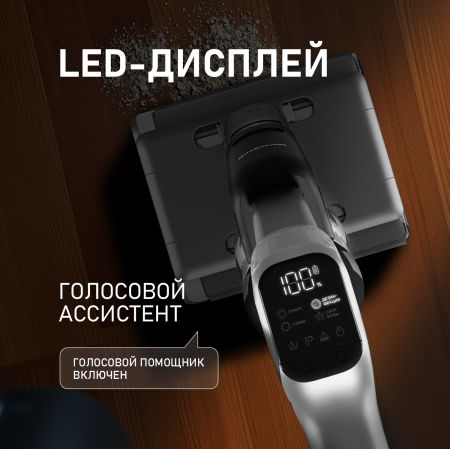        (2  1) Weissgauff V22 BLDC 250 Graphite DoubleSide AquaPro SelfDry