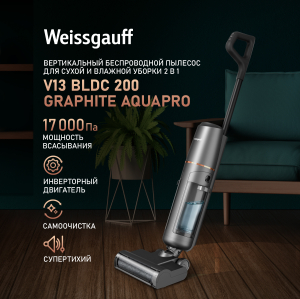        (2  1) Weissgauff V13 BLDC 200 Graphite AquaPro