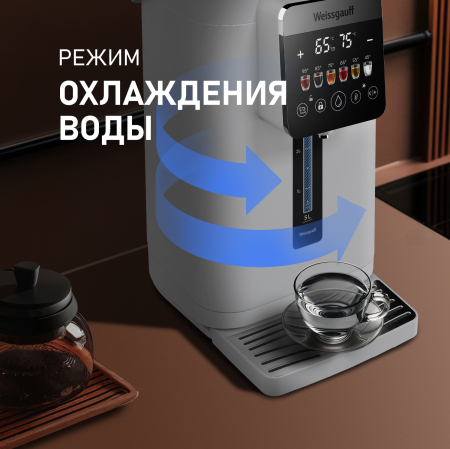  Weissgauff WWT 5030 ColorTouch DWx