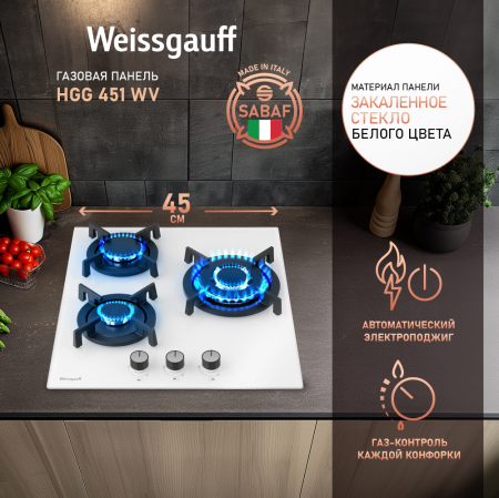 HGG 451 WV (72817)