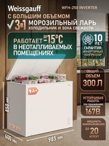 WFH-250 Inverter (127443)
