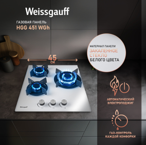 HGG 451 WGh (127145)