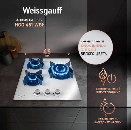 HGG 451 WGh (127145)