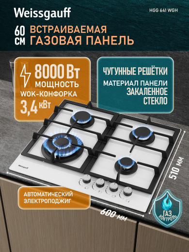 HGG 641 WGh (133649)