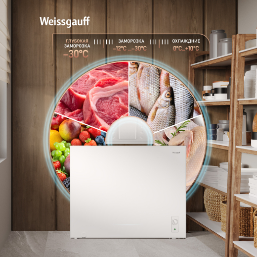 WFH-250 Inverter (127443)