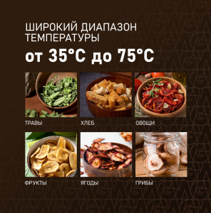 WDH 114 Digital Extra Dry (80761)