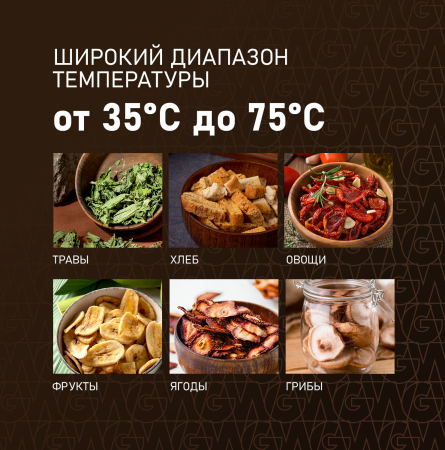 WDH 114 Digital Extra Dry (80761)