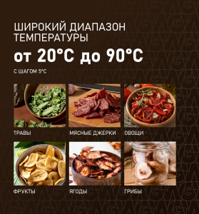 WDH 216 Digital Maxi Dry (107705)