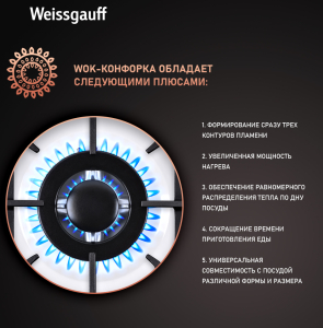   Weissgauff HGG 451 WEB