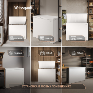 WFH-250 Inverter (127443)