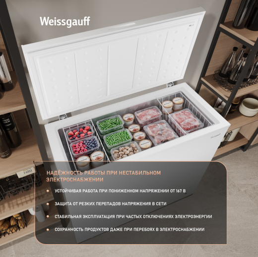 WFH-250 Inverter (127906)