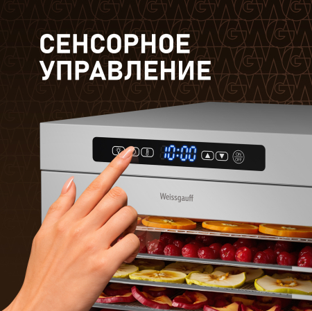 WDH 216 Digital Maxi Dry (107705)